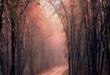 爱游戏官网：CBA：辽宁大胜吉林 迎开赛五连胜中国新闻网.