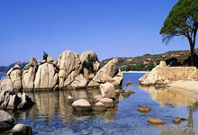 1994年3月以来，西班牙在梅斯塔利亚球场参加10场比赛从未输球.